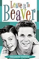 leave it to beaver